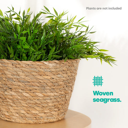 22cm Large Seagrass Plant Pots Set of 3